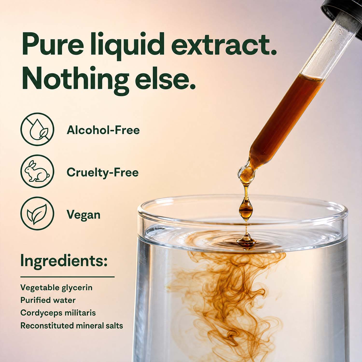 Cordyceps - BOOSTD Nutrition