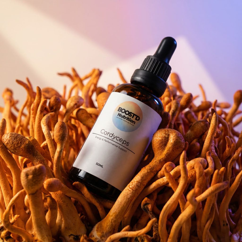 Cordyceps