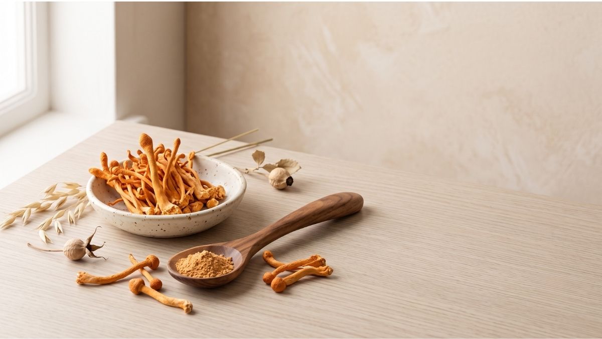 Cordyceps militaris mushroom for BOOSTD Nutrition functional mushroom guide